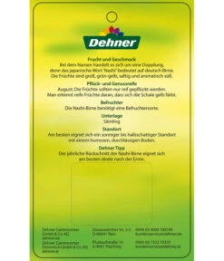 Nashi-Birne 'Nijiseiki' 11 Nashi-Birne 'Nijiseiki' -Günstig Gartenbedarf 7719826 Nashi BirneNijiseiki Etikett 2