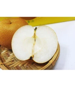 Nashi-Birne 'Nijiseiki' 9 Nashi-Birne 'Nijiseiki' -Günstig Gartenbedarf 7719826 PR MO 001 NashiBirneNijiseikiPixabay