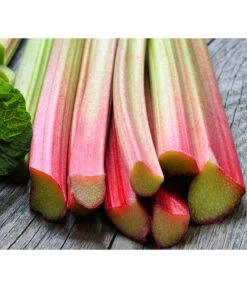 Bestseller 9 Dehner Gourmet Garten Himbeer-Rhabarber