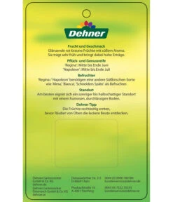 Kirschen-Duo 'Regina/Napoleon' -Günstig Gartenbedarf 7738792 Suesskirschen DuoReginaNapoleon Etikett 2