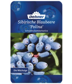 Maibeere -Günstig Gartenbedarf 7756448 SibirischeBlaubeerePolina Etikett 1