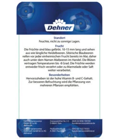 Maibeere -Günstig Gartenbedarf 7756448 SibirischeBlaubeerePolina Etikett 2