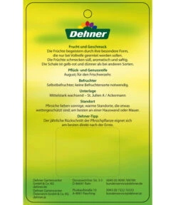 Dehner Tellerpfirsich -Günstig Gartenbedarf 7763378 Tellerpfirsich Etikett 2