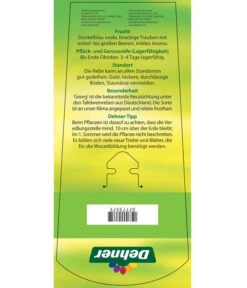 Tafeltraube 'Georg' -Günstig Gartenbedarf 7773575 TafeltraubeGeorg Etikett 2