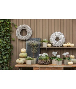 Dehner Kranz Palm Petal Whitewash, Ca. Ø40 Cm -Günstig Gartenbedarf 8122889 PR MO 001 KuerbisseWeissGrau