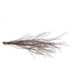 Birkenzweige-Bund, Ca. 70 Cm -Günstig Gartenbedarf 8148819 PR FS 001 BirkenzweigeNaturKurzBundDehnerExpressHerzig