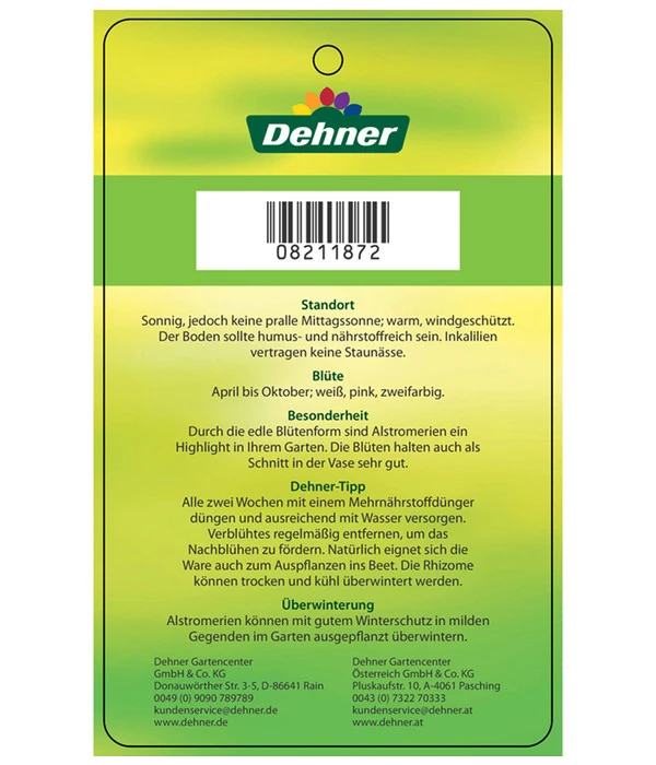 Inkalilie, Verschiedene Sorten 13 Inkalilie, Verschiedene Sorten - Image 11