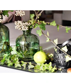 Efeu - Hedera Helix, Grünlaubig -Günstig Gartenbedarf 8224255 8224248 MO EfeuGruenPixabay