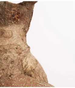 Chinesische Feige - Ficus Microcarpa 'Ginseng', In Keramik, Verschiedene Farben -Günstig Gartenbedarf 8404402 PR DE 001 FicusGinsengBonsaiKeramikschaleT23DehnerExpressZS