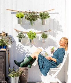 Dehner Gourmet Garten Strauchbasilikum 'Magic Blue' -Günstig Gartenbedarf 8610123 WE MO 001 Oregano Kraeuter