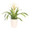 Guzmanie - Guzmania 'Deseo White', In Keramik 2 Guzmanie - Guzmania 'Deseo White', In Keramik -Günstig Gartenbedarf 8628026 WE FS 001 GuzmaniaDeseoWeissInKeramikT13