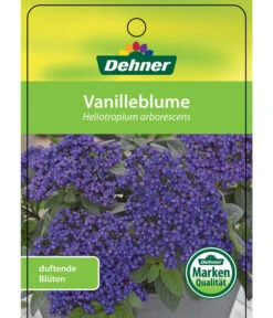 Vanilleblume 10 Vanilleblume -Günstig Gartenbedarf 8814279 Vanilleblume Etikett 1