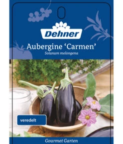 Dehner Gourmet Garten Aubergine, Veredelt 10 Dehner Gourmet Garten Aubergine, Veredelt -Günstig Gartenbedarf 8830051 GGAubergineCarmen Etikett 1