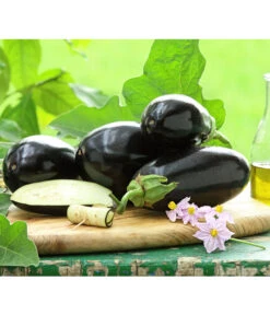 Bestseller 11 Dehner Gourmet Garten Aubergine, Veredelt