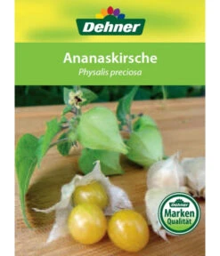 Dehner Ananaskirsche Physalis 14 Dehner Ananaskirsche Physalis -Günstig Gartenbedarf 8830069 Ananaskirsche Etikett 1