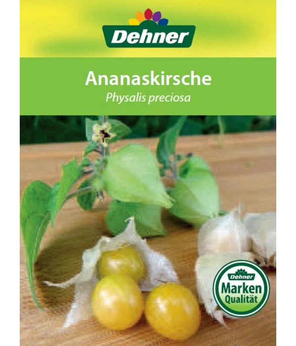 Dehner Ananaskirsche Physalis 8 Dehner Ananaskirsche Physalis - Image 6