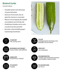 Bioland Gurke, Veredelt -Günstig Gartenbedarf 8830853 WE IG 001 BiolandGurke