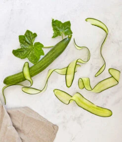 Bioland Gurke, Veredelt -Günstig Gartenbedarf 8830853 WE MO 001 SchlangengurkeveredeltRenner