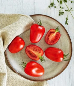 Bioland Eiertomate -Günstig Gartenbedarf 8831463 WE MO 001 BiolandEiertomate