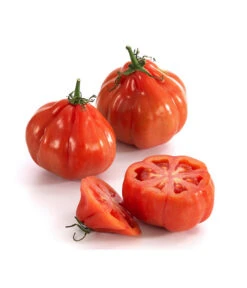 Ochsenherztomate 'Fleurette' 9 Ochsenherztomate 'Fleurette' -Günstig Gartenbedarf 8832883 WE DE 001 Ochsenherztomate