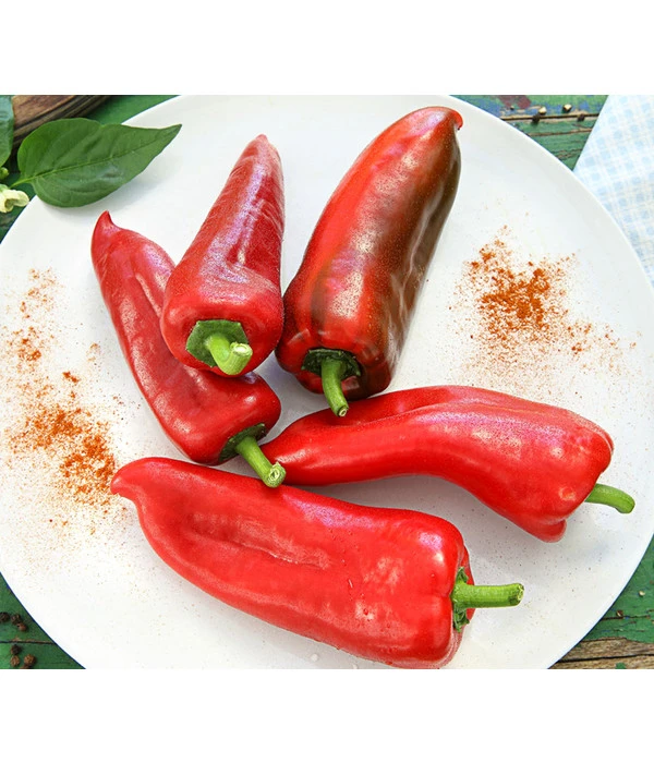Spitzpaprika, Rot 3 Spitzpaprika, Rot