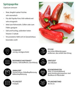 Spitzpaprika, Rot 9 Spitzpaprika, Rot -Günstig Gartenbedarf 8833501 WE IG 001 Spitzpaprika