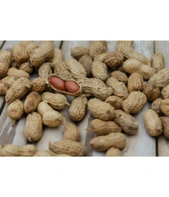 Bestseller 13 Bioland Erdnuss