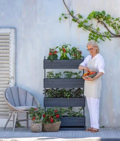 Pick-a-Tom® Cocktailtomate Mit Früchten, Rot -Günstig Gartenbedarf 8838757 WE MO 001 HechtHochbeetCube4PickaTom