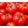 Bioland Fleischtomate -Günstig Gartenbedarf 8842627 WE DE 001 BiolandFleischtomate