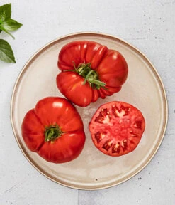 Bioland Fleischtomate -Günstig Gartenbedarf 8842627 WE MO 001 BiolandFleischtomate