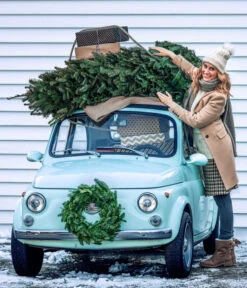 Nordmann-Tanne, Ca. 100-150 Cm, Gesägt -Günstig Gartenbedarf 8996480 WE MO 001 AbiesNordmannianaTitel